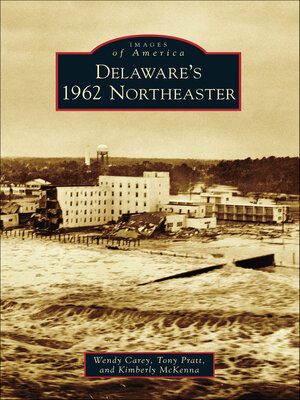 cover image of Delaware's 1962 Northeaster